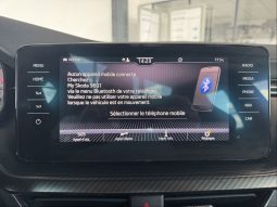 										SKODA Kamiq 1.0 TSI Evo 110 ch DSG7 Monte-Carlo full									